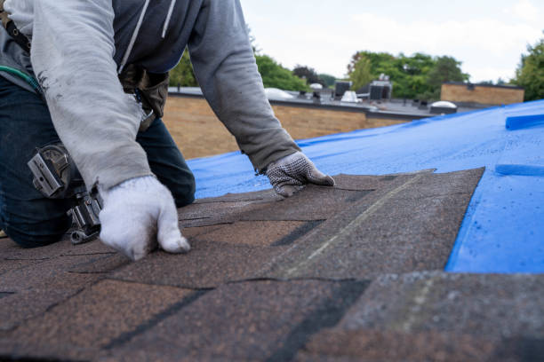 Fast & Reliable Emergency Roof Repairs in Lewiston, MN